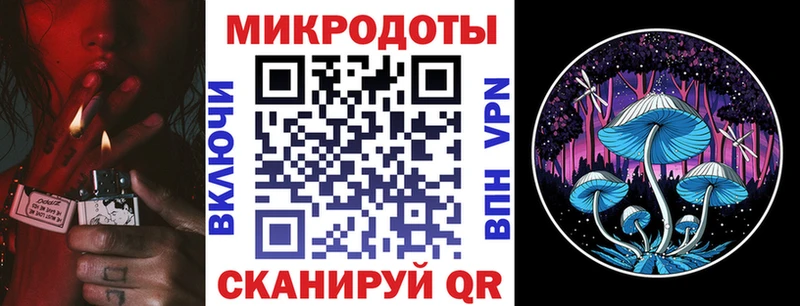 Псилоцибиновые грибы Psilocybe  Кувандык 